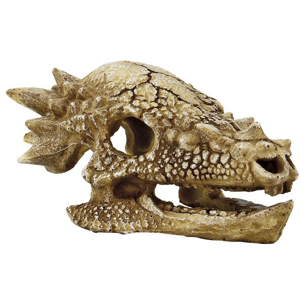 SuperFish Skull T Rex 15x11x8cm